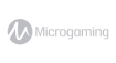 footerIcon